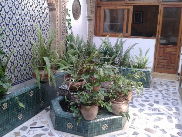 Rabat Centre ville Riad en vente 423 m²