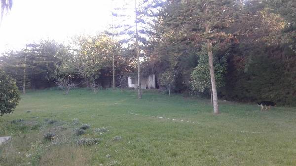 Rabat Ambassadeurs  Villa en vente