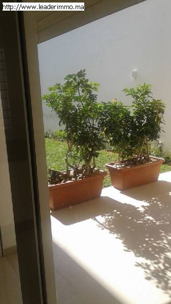Rabat Souissi  Villa à louer