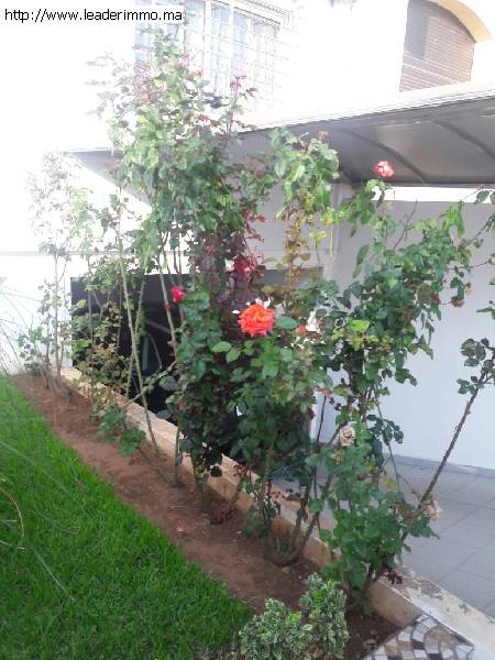 Rabat, Temara, Sid Abed villa en vente 270 m²